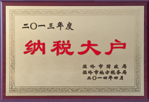 23、温岭市纳税大户x.jpg