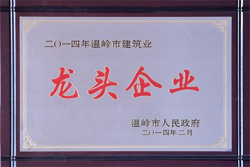 22、温岭市建筑业龙头企业x.jpg
