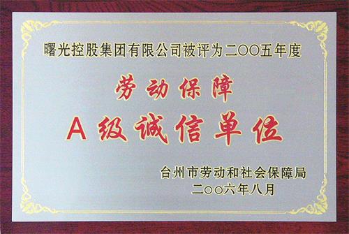 18、台州市劳动保障A级诚信单位x.jpg